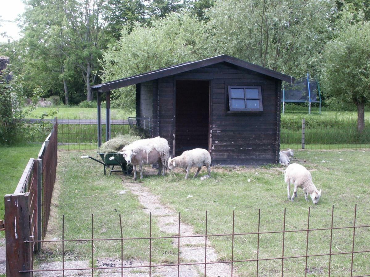 Apartmán De Wilgenhof Finsterwolde Exteriér fotografie